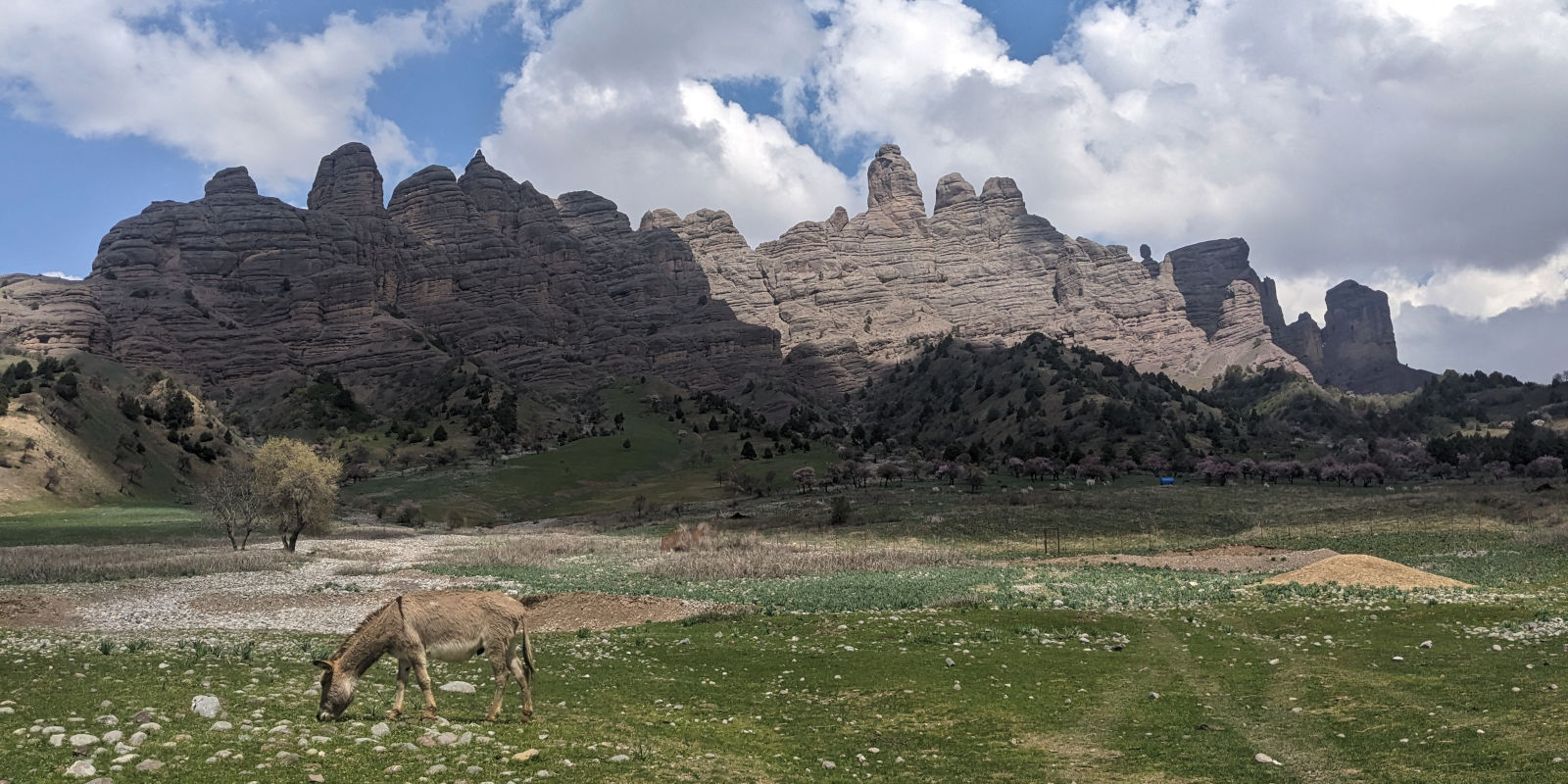 Childukhtaron rock formation with a grazing donkey in foreground