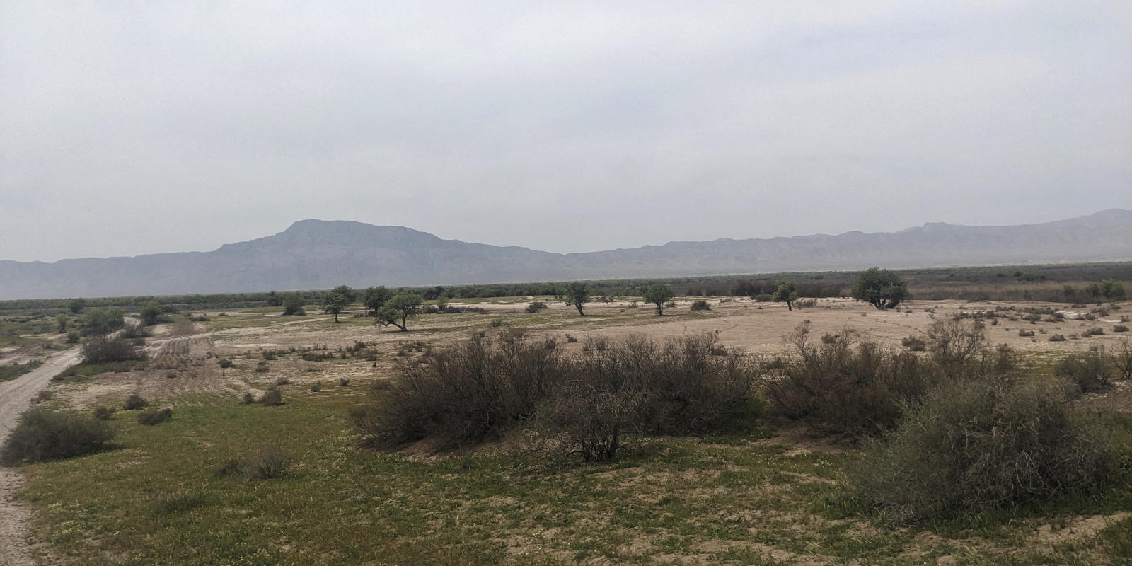 Arid steppe landscape in Tigrovaya Balka Nature Reserve in southwest Tajikistan
