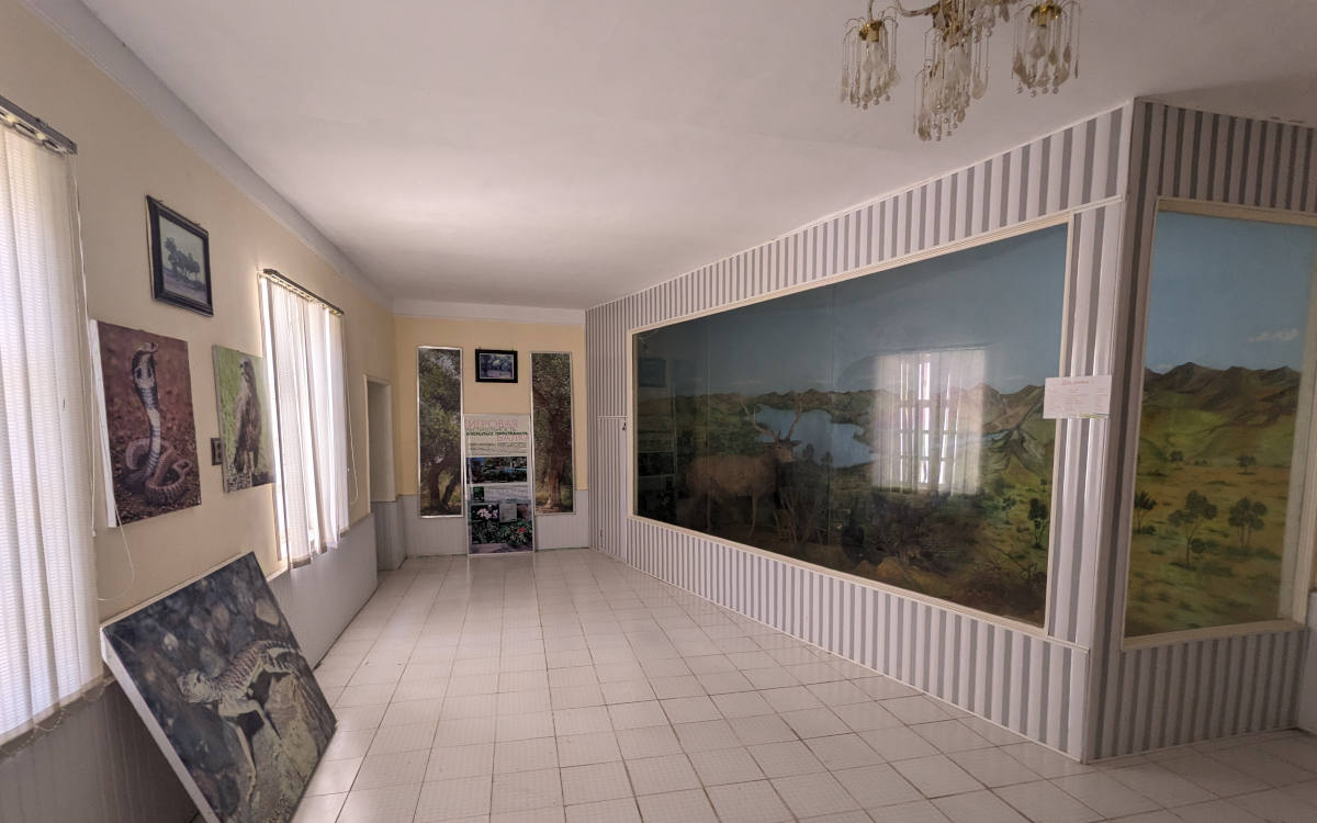 Exhibition inside the Beshai Palangon museum with stuffed animals and information panels