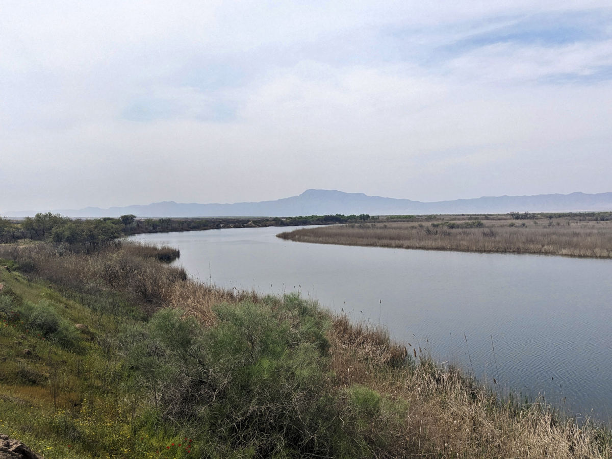Curvature in an oxbow lake along the Vakhsh River in Tigrovaya Balka nature reserve
