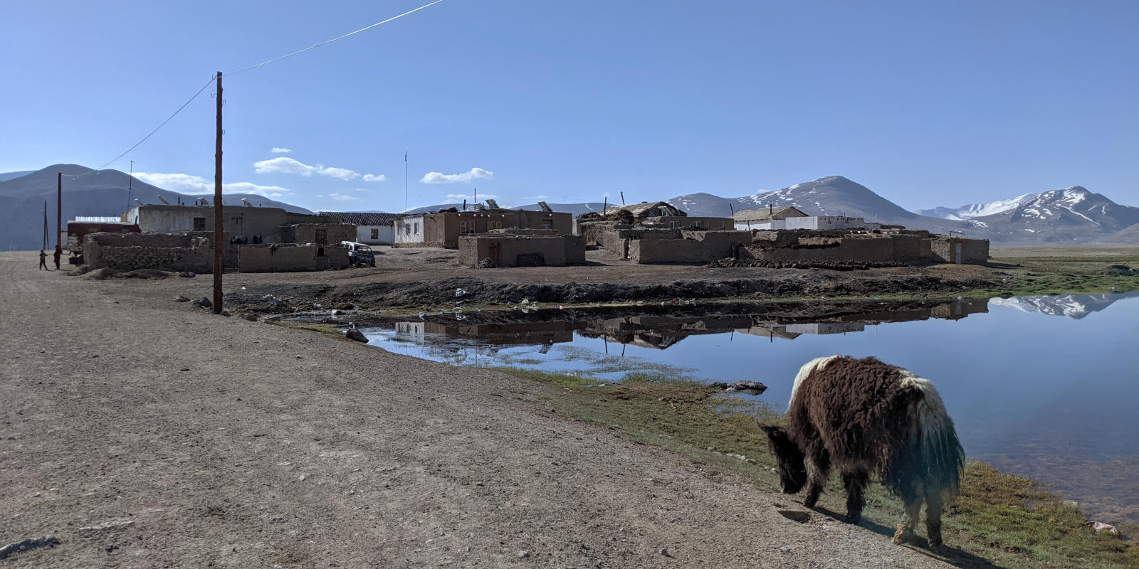 Yak walking towards Bulunkul village