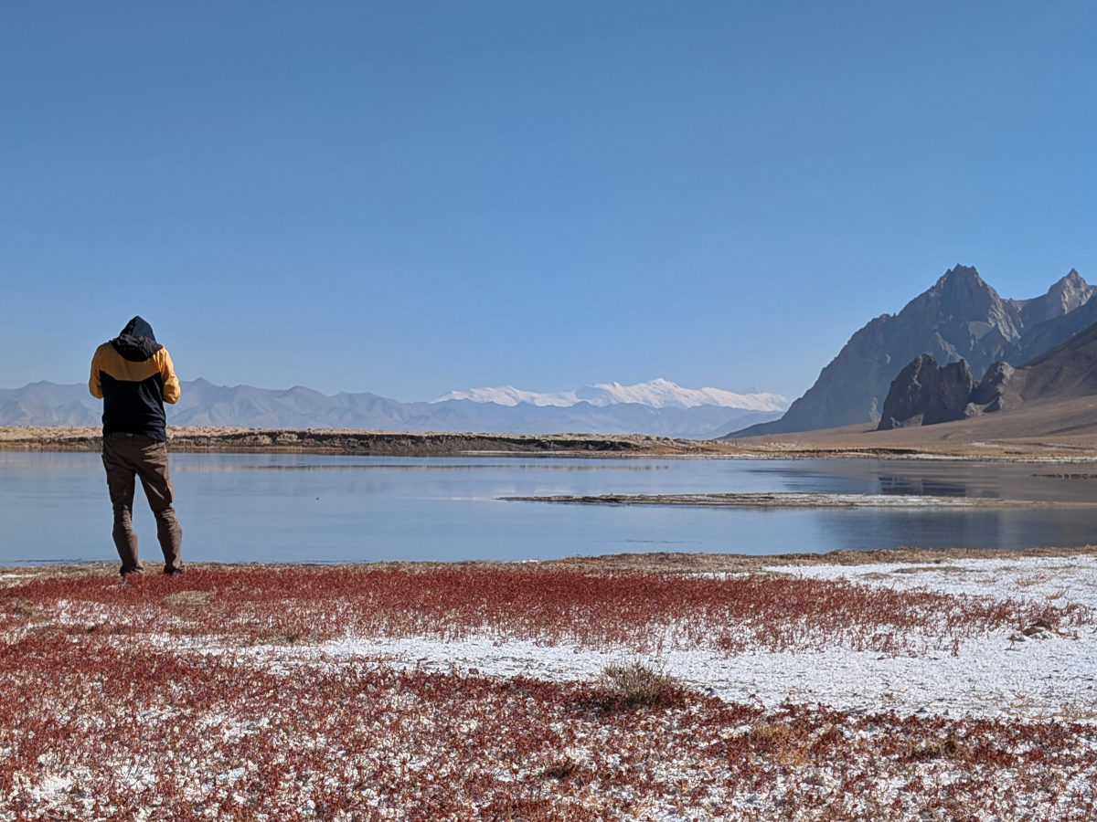Person standing on the shore of Shorkul with white salt deposits and red grasses on the shore